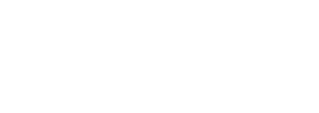 demnet-logo WHITE
